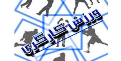 سرپرست هیات ورزش کارگری استان یزد تعیین شد