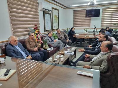 درگزین ظرفیت تبدیل‌شدن به قطب صنایع پایدار همدان را دارد