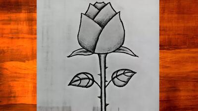 آموزش نقاشی ساده و فانتزی گل رز