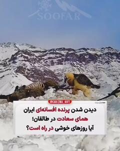 پرنده همای سعادت در ایران