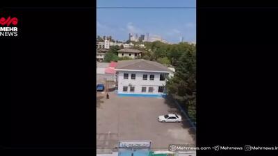 گردن زنی درختان در بابلسر