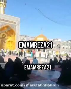 استوری حرم امام رضا ع | اومدم تنهای تنها