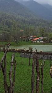 فیلم طبیعت بکر روستای استخرگاه