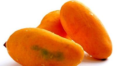آیا انبه دشمن پنهان دیابت است؟ یافته‌ های شوکه‌ کننده هندی
