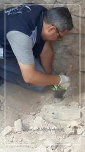 رازهای خانوادۀ مغول‌ها پس از ۱۸ سال در گنبد سلطانیه فاش شد / کاوش تا شهریورماه ادامه خواهد داشت + فیلم