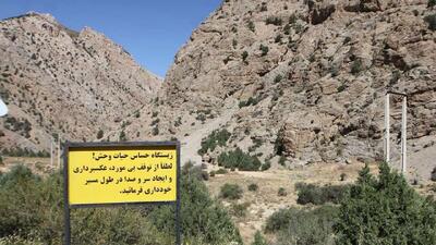 وجود ۲۲۰ منطقه شکار ممنوع در کشور+ فیلم