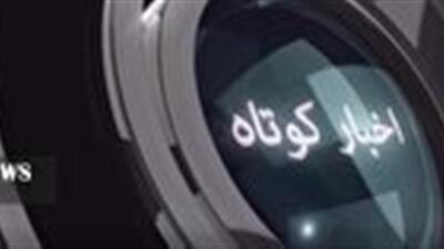 خبرهای گوناگون