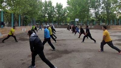 ورزش در دستگاه‌های اجرایی زنجان توسعه می‌یابد