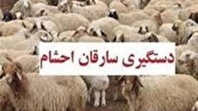 کشف ۵۰ میلیارد کالا و احشام قاچاق در مرز‌های کردستان