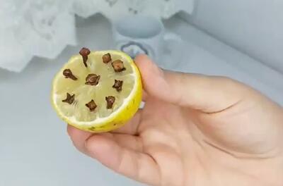 روش جلوگیری از ورود سوسک به حمام و دستشویی و رفع بوی بدچاه / از بین بردن مورچه بدون سم پاشی