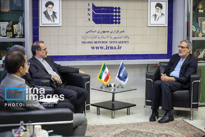ایرنا به لحاظ قدمت و مهارت خبرگزاری مرجع است/خبرنگاران بازرسان افتخاری هستند