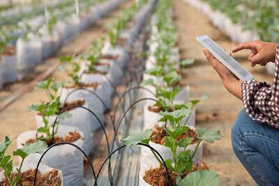 افتتاح نخستین گلخانه آموزشی برای دانش آموزان استثنایی در مریوان ‌