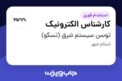 استخدام کارشناس الکترونیک - آقا در توسن سیستم شرق (تسکو)