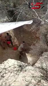 نه تنها انسان‌ها که حیات وحش جنوب کشور تشنه‌اند / بحران بی‌آبی در جنوب و مرکز ایران دیگر هشدار نیست، واقعیت امروز است + فیلم