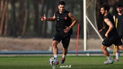 وحید هاشمیان به پدیده نوظهور کارتال در پرسپولیس علاقه ندارد
