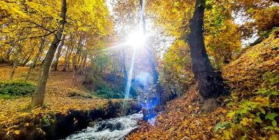 پیش بینی هوای  گیلان فردا سه شنبه 28 مرداد/ دمای گیلان افزایش می‌یابد