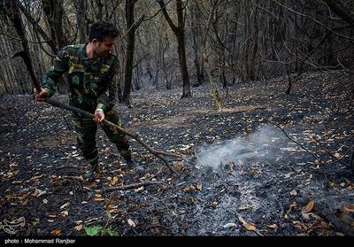 آتش‌سوزی در ‌جنگل‌   اسپیدسنگ   گرگان/ حریق کنترل شد - تسنیم