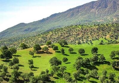 برگزاری دوره‌های آموزشی برای کاهش آسیب به محیط‌زیست کردستان - تسنیم