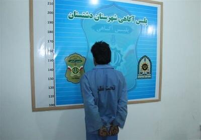 دستگیری قاتل فراری دشتستان پس از تیراندازی مرگبار - تسنیم