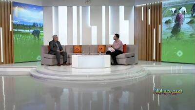 اهمیت میوه‌های گرمسیری و نیمه گرمسیری در اقتصاد کشور + فیلم