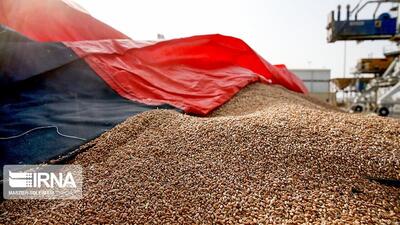 سایه ناترازی انرژی بر اولین زنجیره تولید گوشت در غرب سمنان