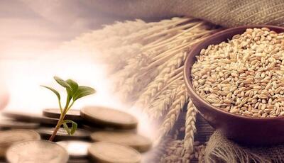 افرایش ۱۵درصدی پرداخت زکات در آذربایجان غربی