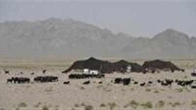 بازگشایی و اصلاح ۱۰۰ کیلومتر از ایلراه‌های خراسان جنوبی