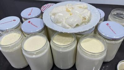 طرز تهیه ماست سفت قالبی / راز ماست سنگی که ماه ها خراب نمی شود