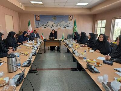 کارگروه‌های توانمندسازی زنان روستایی و عشایری استان اردبیل تشکیل می‌شود