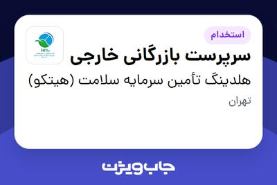 استخدام سرپرست بازرگانی خارجی در هلدینگ تأمین سرمایه سلامت (هیتکو)