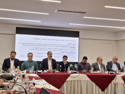 رئیس انجمن تجارت الکترونیک:دولت پاسخ ما را نمی‌دهد - پیوست