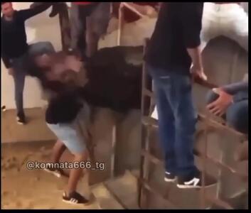 فیلم جفتک خطرناک گاو قبل از شروع مسابقه