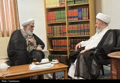 دیدار رئیس دفتر مقام معظم رهبری با آیت‌الله سبحانی - تسنیم
