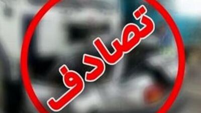 تصادف مرگبار وانت پراید با عابر پیاده در خیابان خلیج فارس تهران