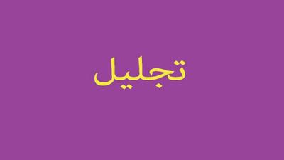 تجلیل از عکاسان برگزیده  در روز جهانی عکاسی