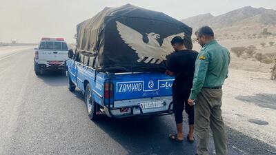 کشف‌وضبط محموله چوب قاچاق در محور کهورستان - لار