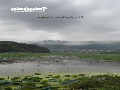 تالاب سوستان در لاهیجان