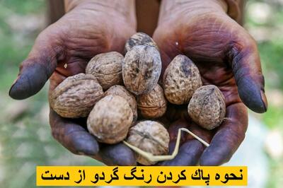 پاک کردن رنگ گردو از دست | برای از بین بردن رنگ پوست گردو از دست چه کنیم؟