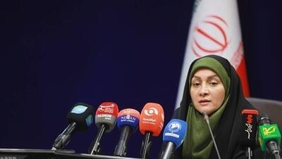 ارائه مشاوره طب ایرانی به ۲۰ هزار نفر در راهپیمایی اربعین