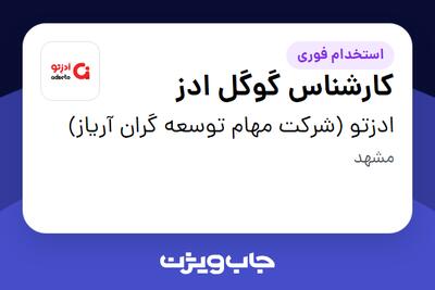 استخدام کارشناس گوگل ادز در ادزتو (شرکت مهام توسعه گران آریاز)