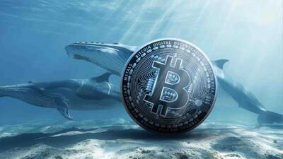 نهنگ‌های بیت‌کوین دوباره وارد شدند؛ رالی جدید کریپتو