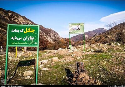 مردم سوادکوه محاصره در 4 حلقه مشکلات - تسنیم