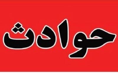 قتل به خاطر «دید زدن» داخل خودروی زوج جوان