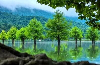 تصویر تلخ از دریاچه زیبای الندان ساری به فاصله 5 ماه