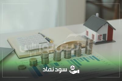  تقسیم سود نقدی ۶۲ نماد بورسی در شهریور ۱۴۰۴ | لیست پرداخت سود سهام شرکت‌ها