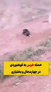 حمله خرس وحشی به کوهنورد چهارمحالی و التماس های دوست او / جون مادرت ولش کن
