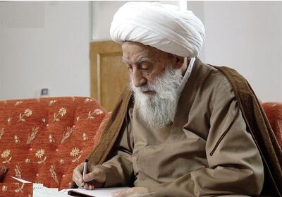 عالم فقیدی که خدمات اجتماعی‌اش جریان دارد - تسنیم