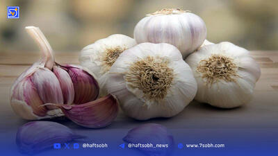فواید سیر