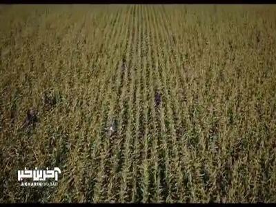 گزینه اصلی سینمای ایران برای جایزه اسکار ۲۰۲۶