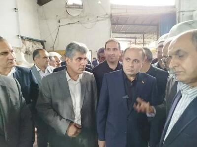 وزیر جهاد کشاورزی: برنج کیفی قیمت‌گذاری می‌شود